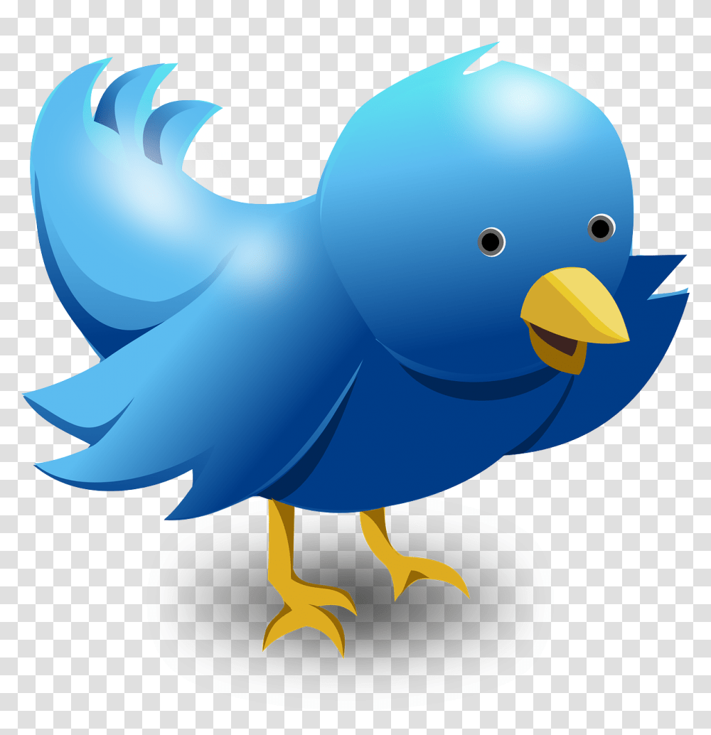 Twitter Logo Images Free Download Larry The Bird Twitter, Animal, Bluebird, Canary Transparent Png