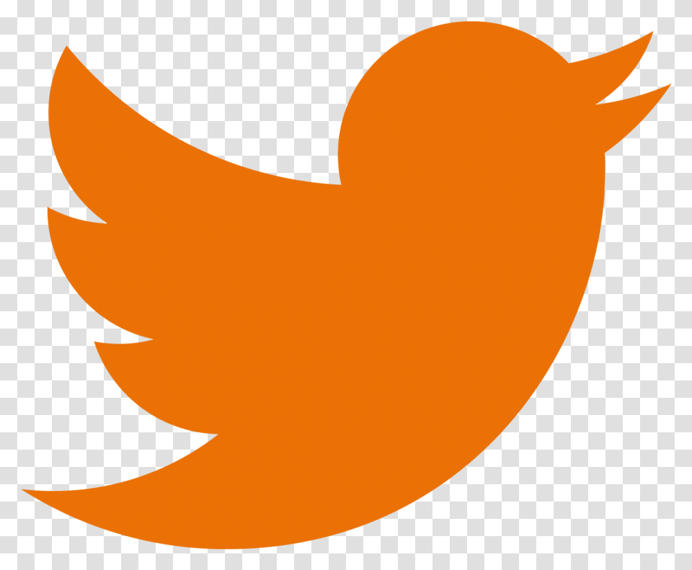 Twitter Logo Images Free Download Orange Twitter Logo, Shark, Sea Life, Fish, Animal Transparent Png