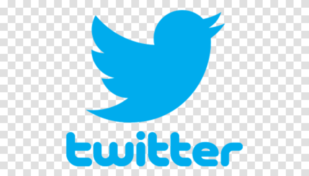 Twitter Logo Like Button Clip Art Font Background Twitter Logo, Poster, Advertisement, Trademark Transparent Png