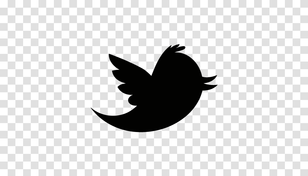 Twitter Logo, Moon, Alphabet Transparent Png