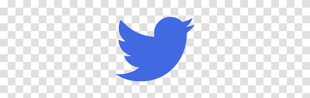 Twitter, Logo, Moon, Outer Space, Night Transparent Png