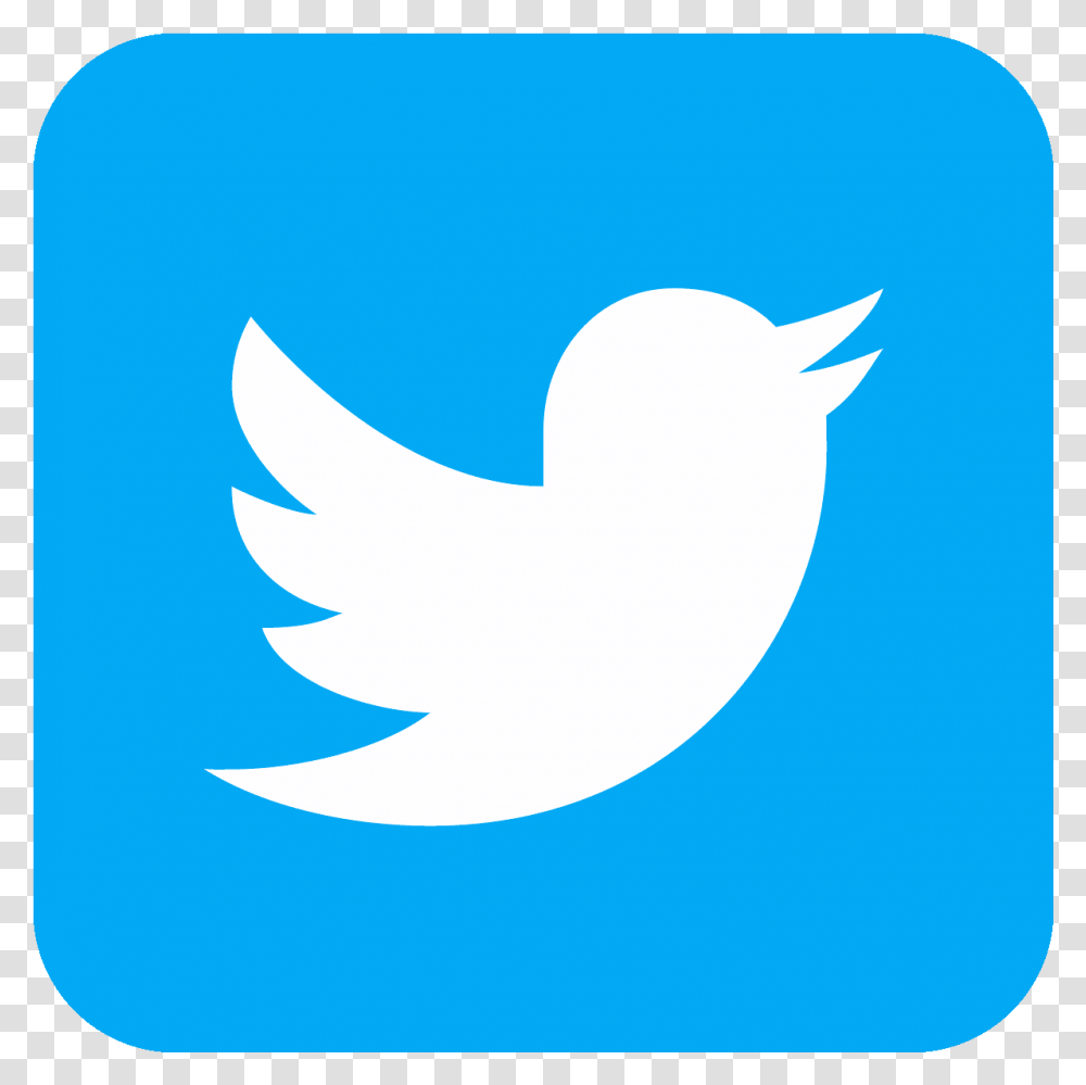 Twitter Logo Round Edges, Shark, Animal, Bird Transparent Png