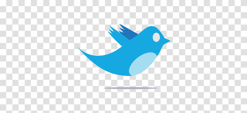 Twitter, Logo, Shark, Animal, Bird Transparent Png