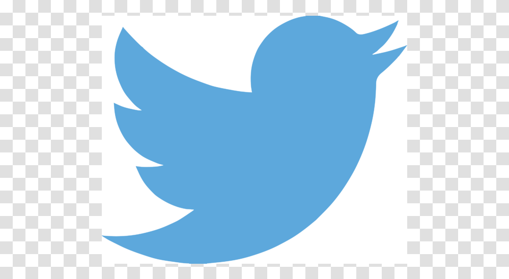 Twitter Logo, Shark, Animal Transparent Png