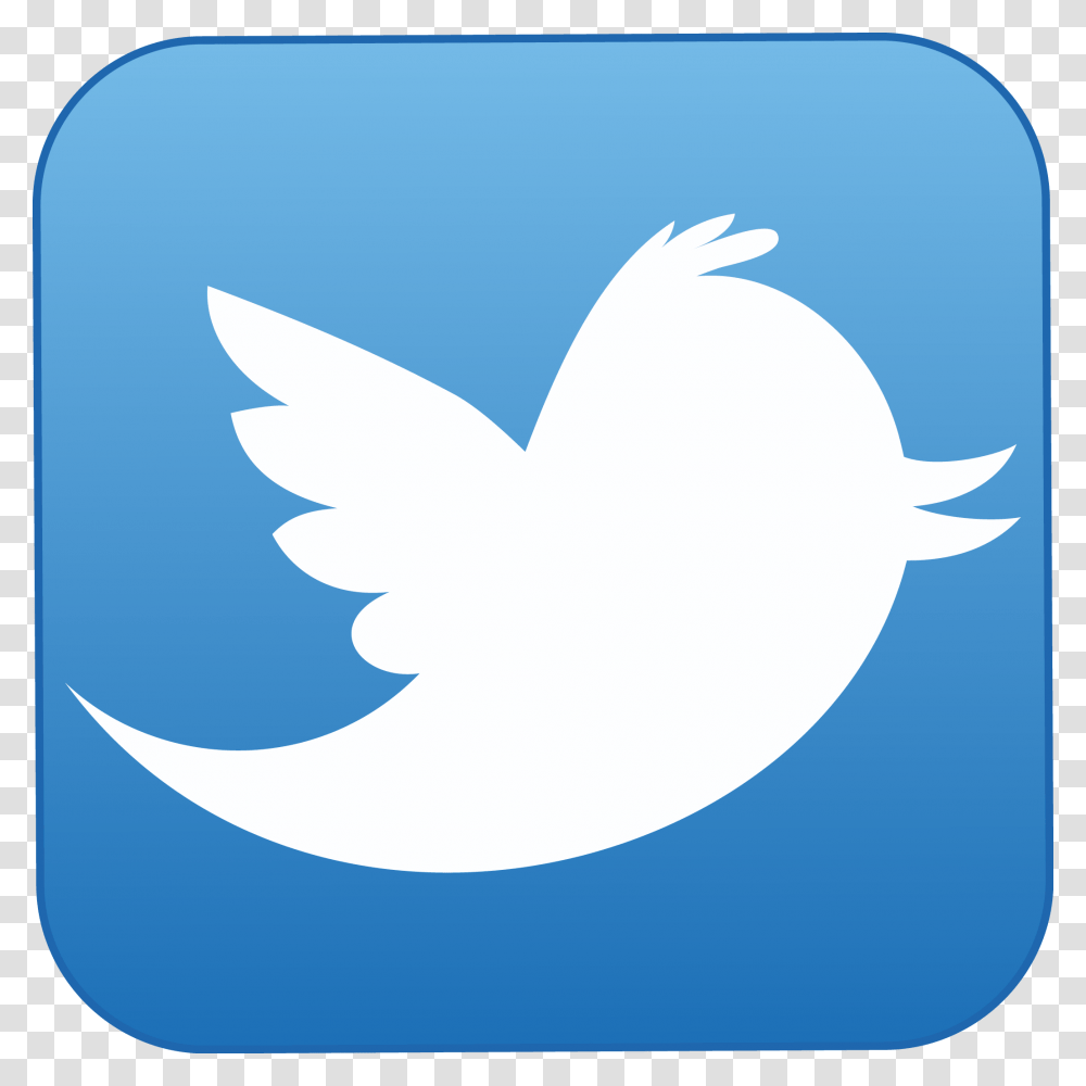 Twitter, Logo, Shark, Sea Life, Fish Transparent Png