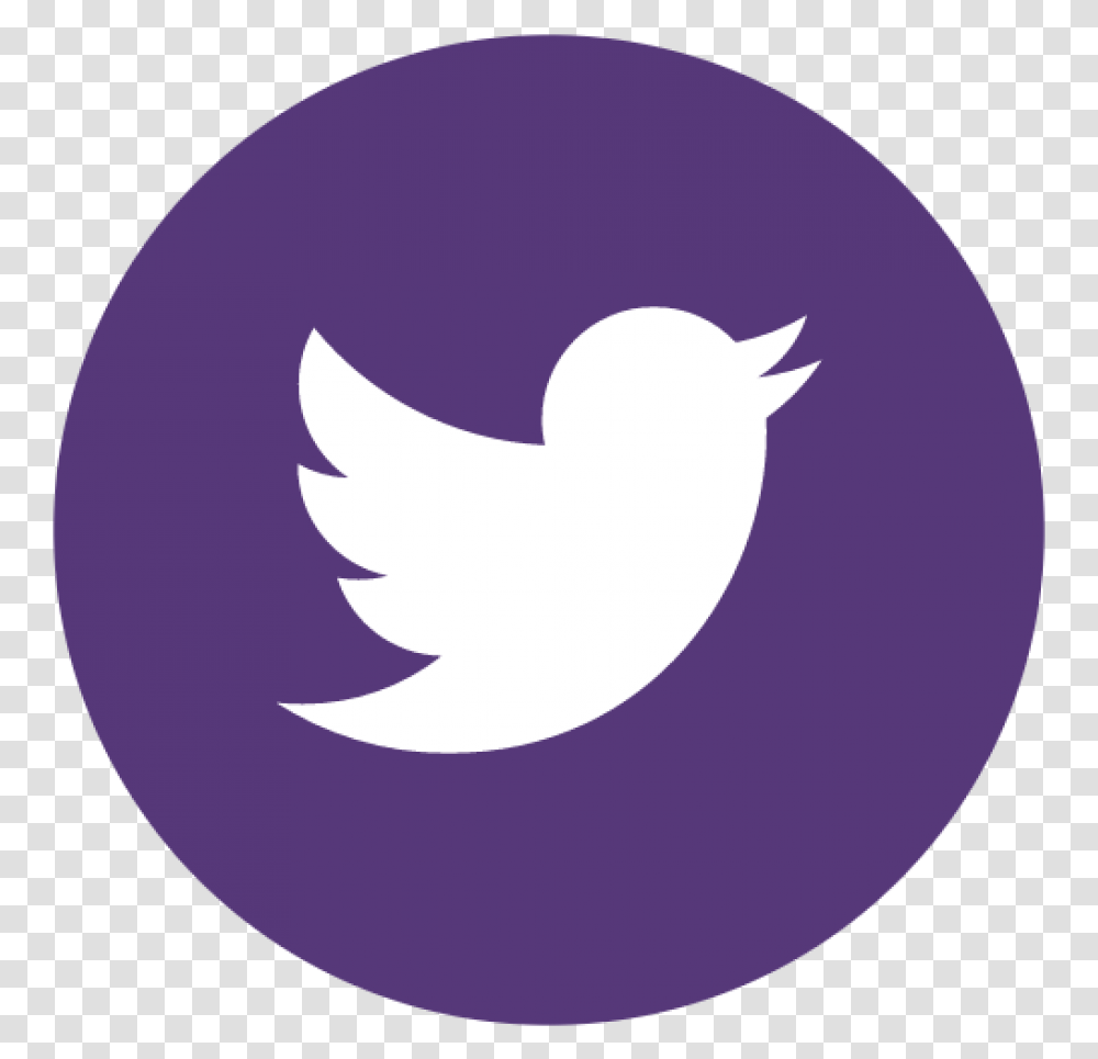 Twitter Logo, Sphere, Bird, Animal, Purple Transparent Png