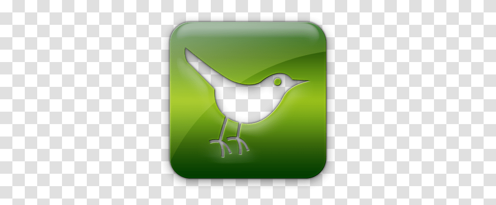 Twitter Logo Square Webtreatsetc Icon In Ico Or Icns Green Twitter Bird, Animal, Blackbird, Agelaius, Wren Transparent Png