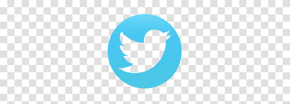 Twitter, Logo, Trademark, Bird Transparent Png