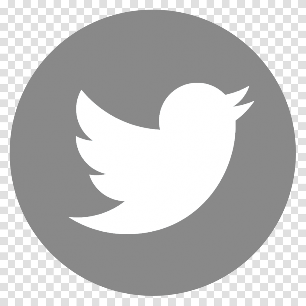 Twitter, Logo, Trademark, Face Transparent Png