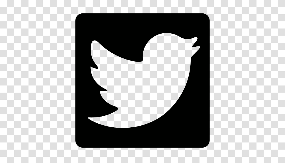 Twitter Logo Twitter Logo Images, Shark, Sea Life, Fish, Animal Transparent Png