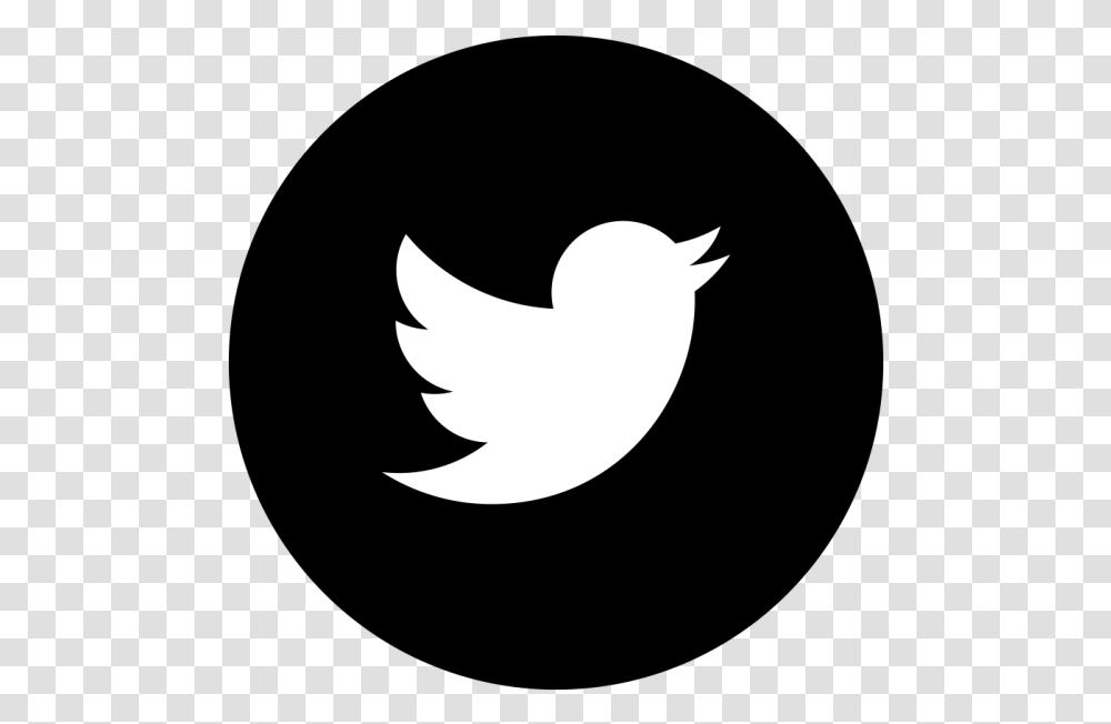 Twitter Logo Vector Black And White, Silhouette, Bird, Animal Transparent Png