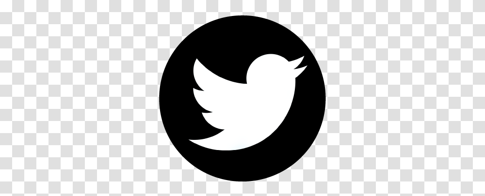 Twitter Logo Vector Icons Free Download Vectors, Symbol, Trademark, Shark, Sea Life Transparent Png