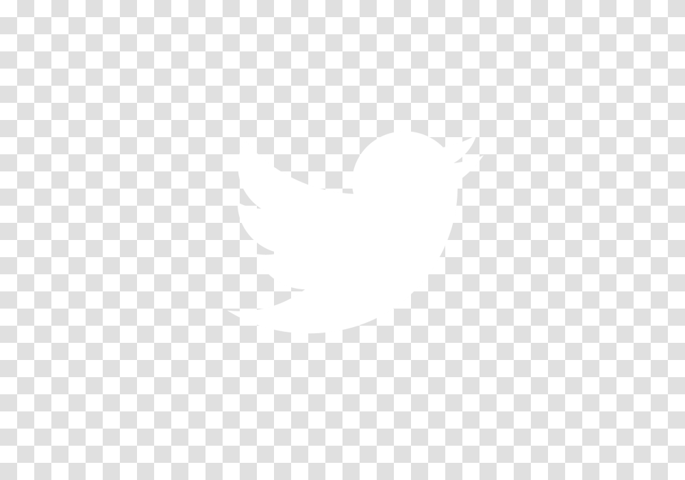 Twitter Logo White 1 Image Twitter Logo White Vector, Texture, White Board, Clothing, Apparel Transparent Png