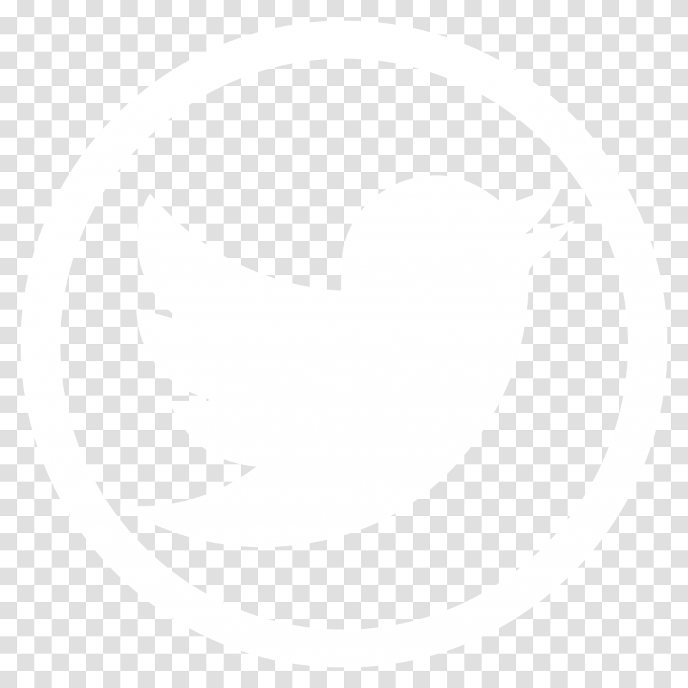 Twitter Logo White, Texture, White Board, Apparel Transparent Png