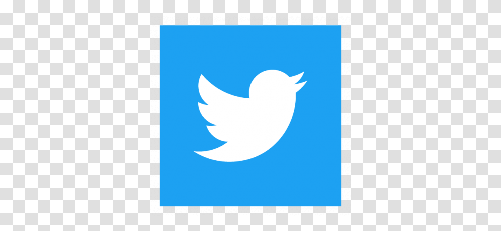 Twitter Logos Vector Ai Cdr Svg Twitter Logo Square, Symbol, Shark, Animal, Bird Transparent Png