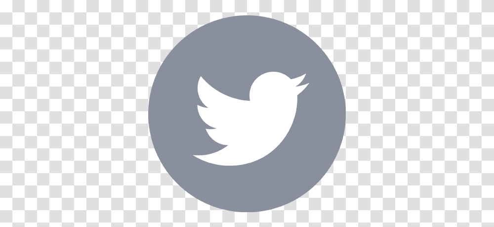 Twitter Negro, Logo, Symbol, Trademark, Text Transparent Png