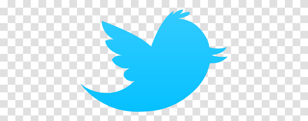 Twitter Picture Small Twitter Logo, Bird, Animal, Symbol, Wasp Transparent Png