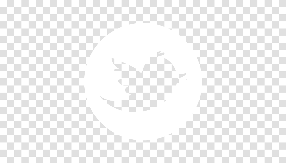 Twitter Picture, White, Texture, White Board Transparent Png