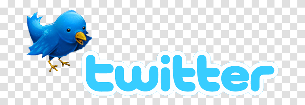 Twitter Policy Leads To Misguided Cries Twitter, Label, Text, Logo, Symbol Transparent Png