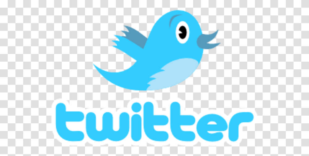 Twitter, Poster, Animal, Bird Transparent Png