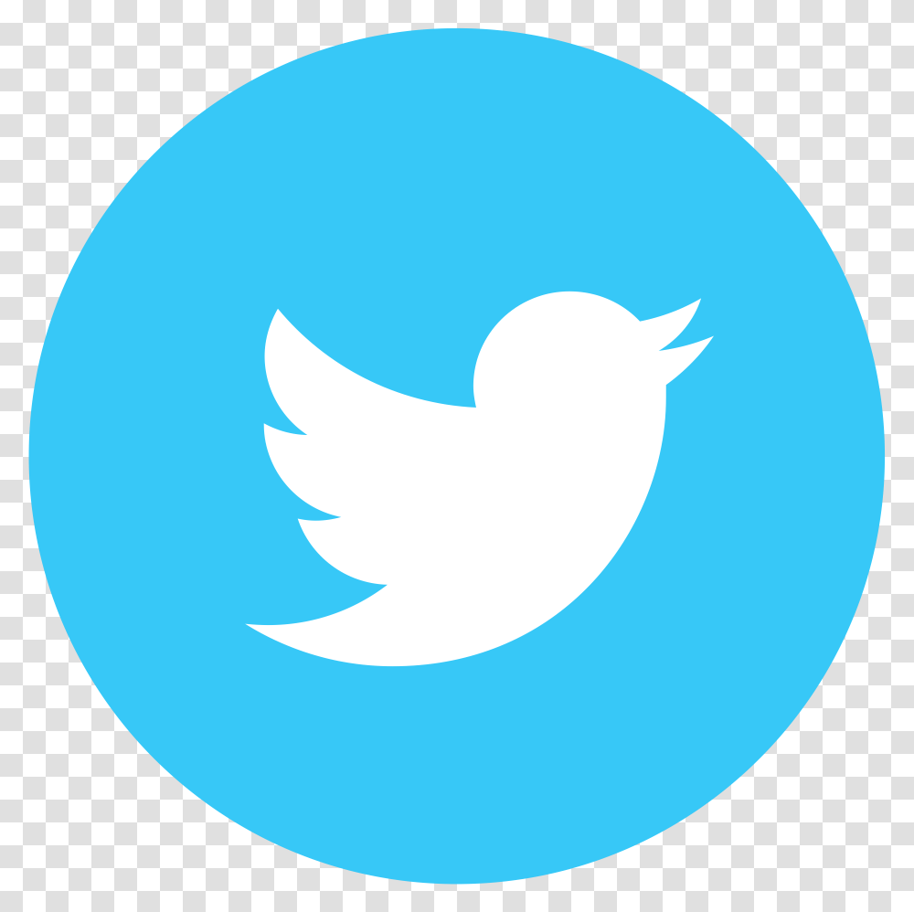 Twitter Round Logo Background Clipart Circle Twitter Logo, Trademark, Animal, Bird Transparent Png