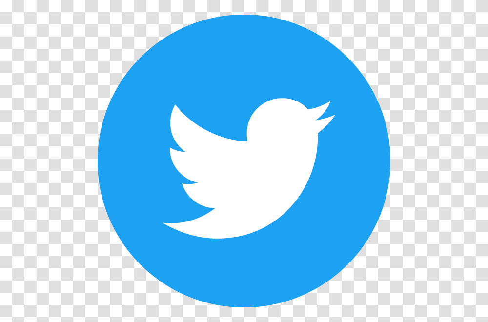 Twitter Social Icon Circle Twitter Logo, Wasp, Invertebrate, Animal Transparent Png