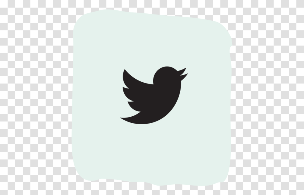 Twitter Social Media Icons, Bird, Animal, Cat, Pet Transparent Png
