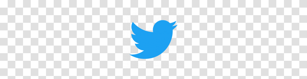 Twitter Square Vector Icon, Bird, Animal, Moon, Nature Transparent Png