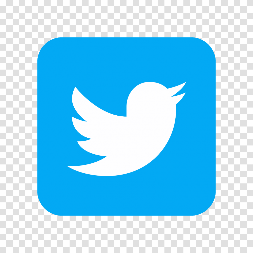 Twitter Squared Icon, Logo, Trademark, Animal Transparent Png