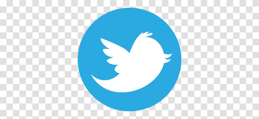 Twitter Telegram Logo, Shark, Sea Life, Fish, Animal Transparent Png