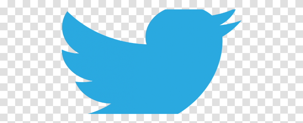 Twitter To Expand Singapore Team By 100 In Next 2 Years Twiter, Outdoors, Face, Photography, Nature Transparent Png