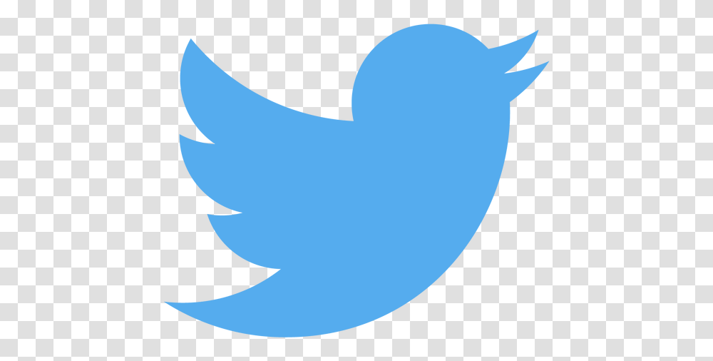 Twitter Tweet App Blue Pngs Twitter Logo, Shark, Sea Life, Fish, Animal Transparent Png
