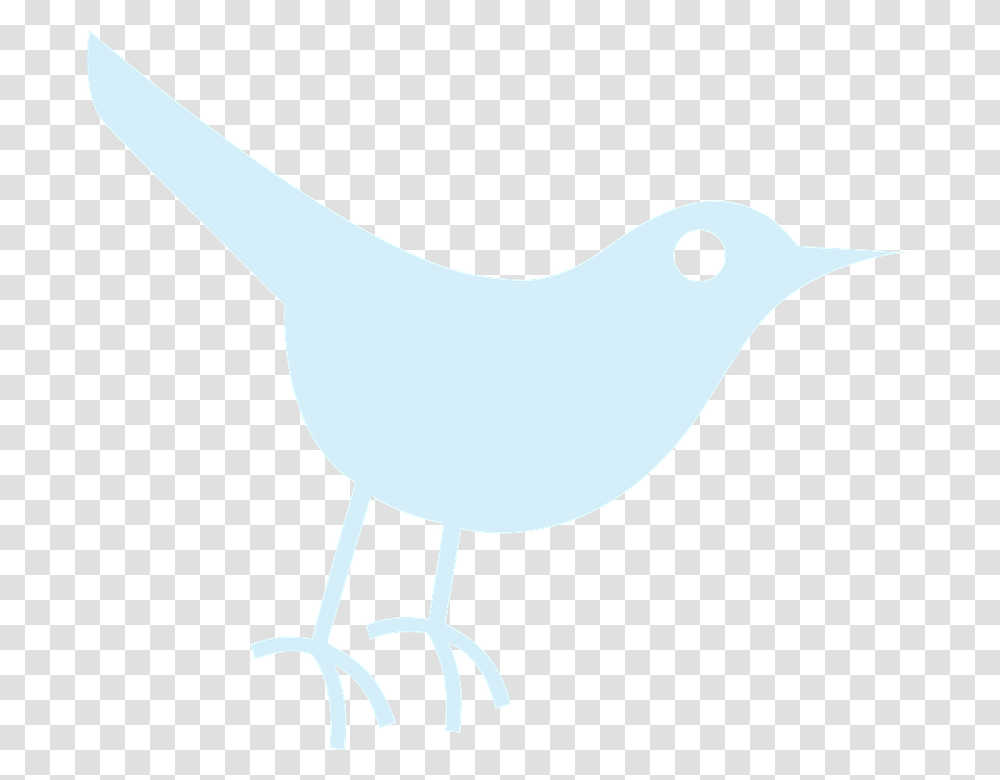 Twitter Tweet Bird Blue Sparrow Animal Social Media, Sea Life, Reptile, Dinosaur Transparent Png