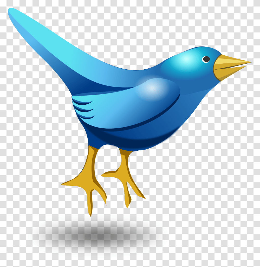 Twitter Tweet Bird Funny Cute Blue Messaging Bird Twitter Funny, Bluebird, Animal, Jay, Blue Jay Transparent Png