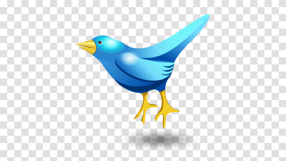 Twitter Tweet Bird Vector Image, Bluebird, Animal, Jay, Blue Jay Transparent Png