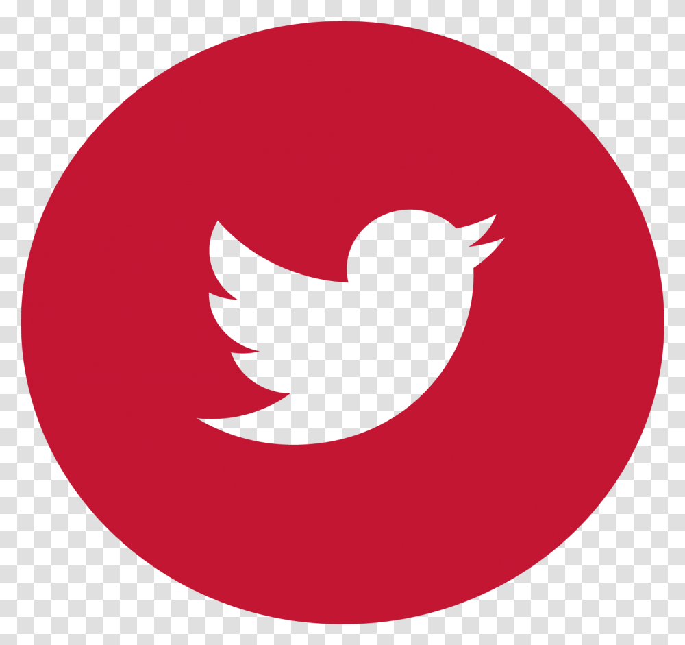 Twitter Twitter Circle Icon In Orange Color, Bird, Animal, Logo Transparent Png