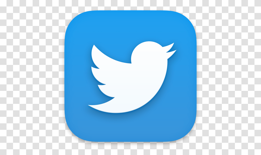Twitter Twitter Logo Round Edges, Shark, Animal, Symbol, Bird Transparent Png