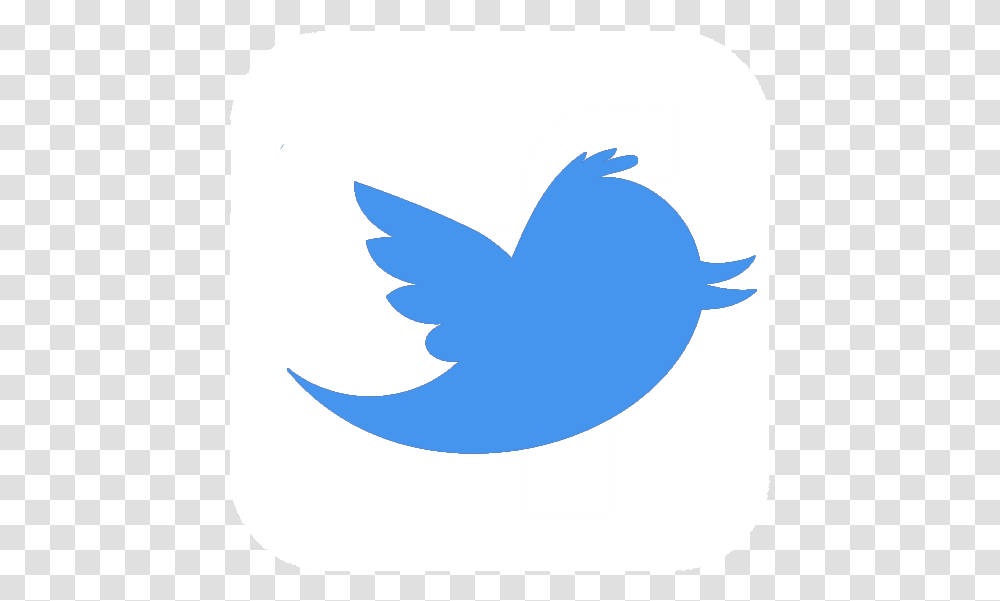 Twitter Twitter Logo, Shark, Fish, Animal Transparent Png