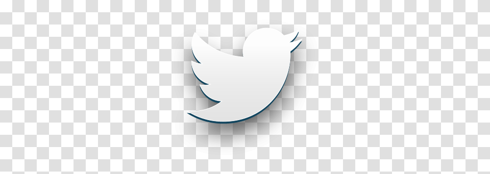 Twitter White Icon Twitter, Shark, Animal, Logo, Symbol Transparent Png