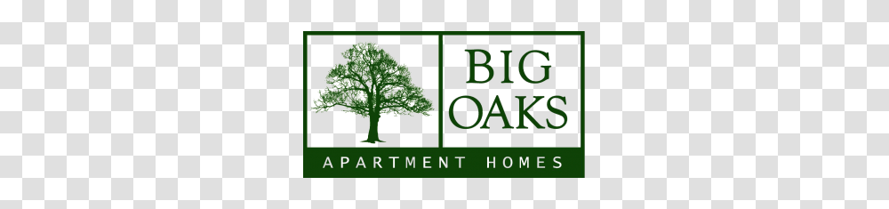 Two And Three Bedroom Apartments In Lakeland Fl Big Oaks Apts, Plant, Vegetation, Vase, Jar Transparent Png