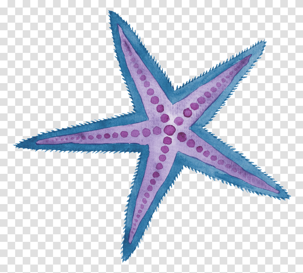 Two Color Hand Painted Starfish Cartoon Watercolor Purple Watercolor Star Fish, Cross, Symbol, Sea Life, Animal Transparent Png