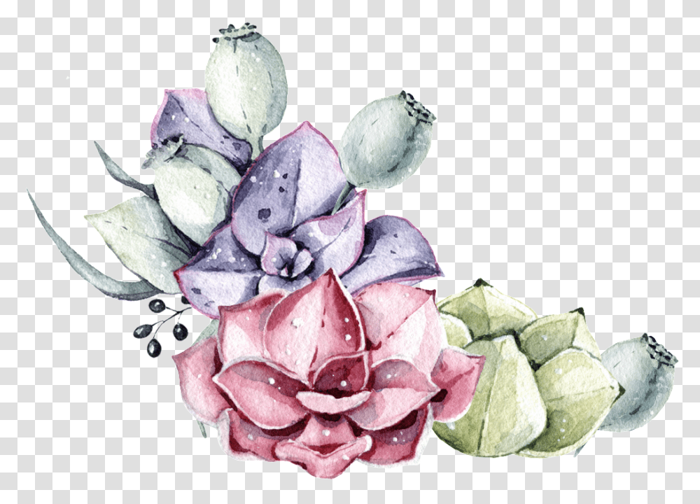 Two Color Succulent Plant Watercolor Hand Painted, Flower, Blossom, Petal, Flower Arrangement Transparent Png