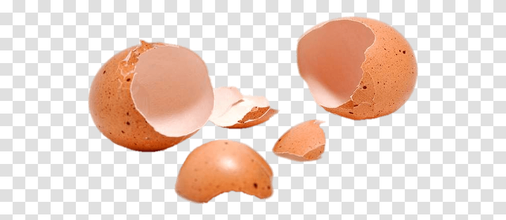 Two Cracked Eggshells Eggshells, Plant, Nut, Vegetable, Food Transparent Png