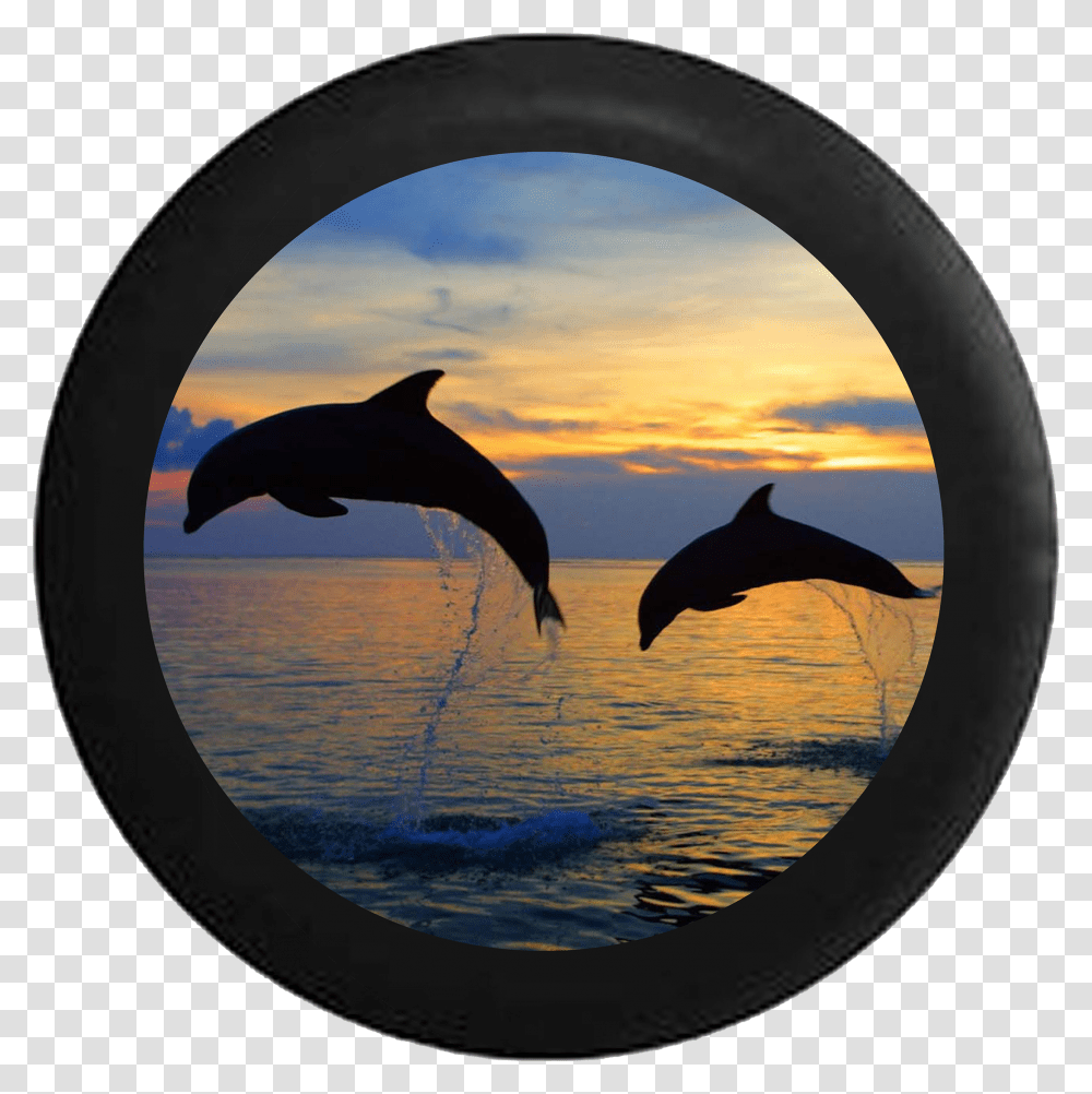 Two Dolphins Jumping Sunset Sunrise Behind Sky Rv Camper Beach With Dolphins, Bird, Animal, Mammal, Sea Life Transparent Png