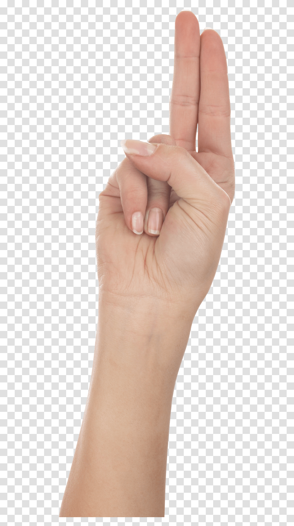 Two Finger Hand, Wrist, Person, Human, Skin Transparent Png