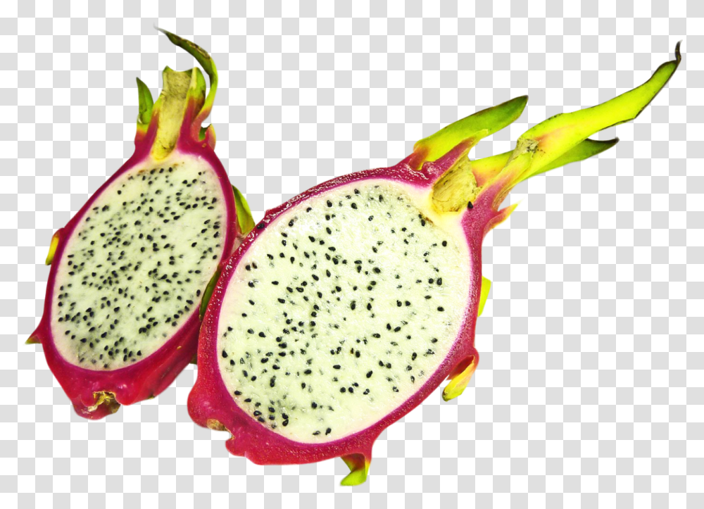 Two Half Dragon Fruit Image Dragonfruit, Plant, Food, Flower, Blossom Transparent Png