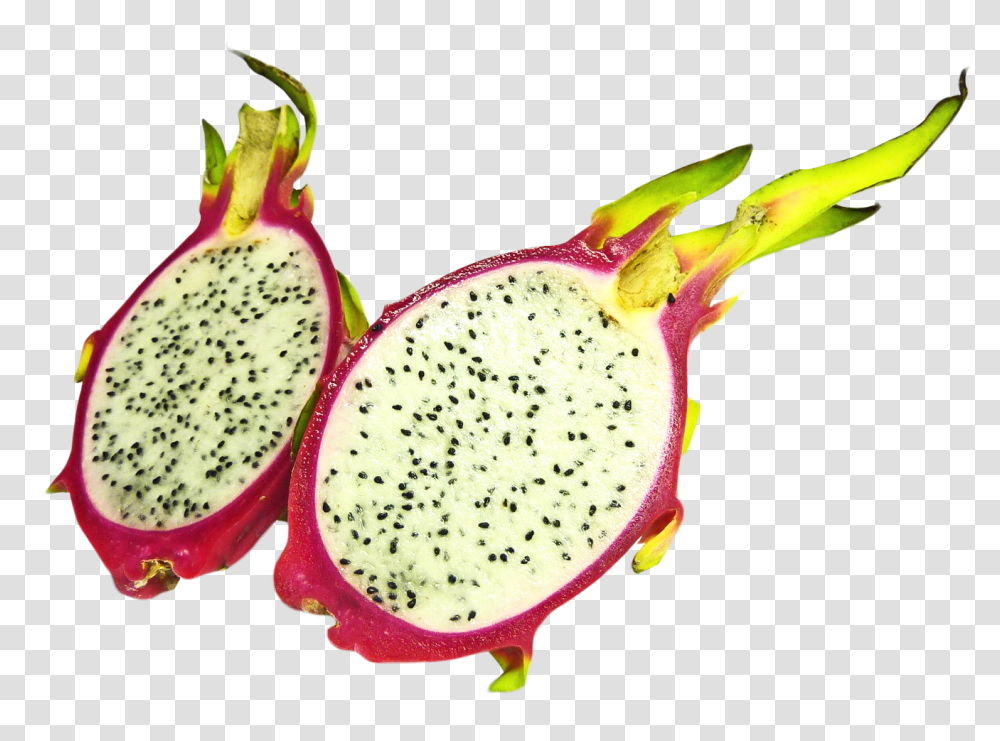 Two Half Dragon Fruit Slices Image, Plant, Food, Produce, Bird Transparent Png