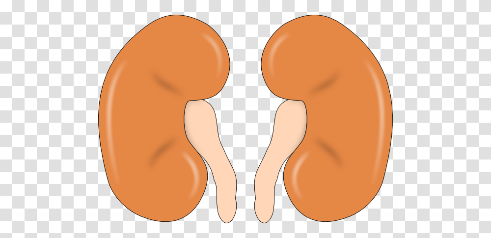 Two Kidneys Clip Art, Heel, Heart, Food Transparent Png