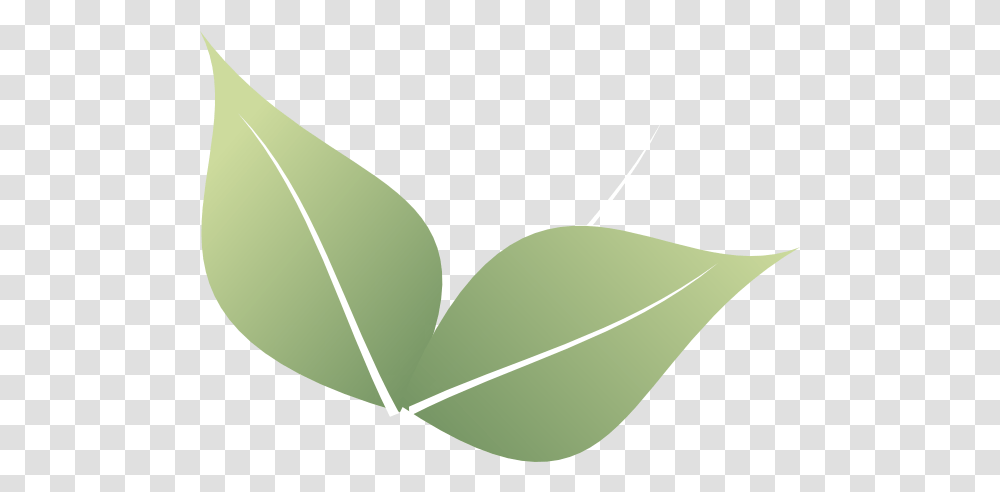 Two Leaf Clipart 600x431 Clipart Download 2 Leaf Line Art, Plant, Tennis Ball, Sport, Sports Transparent Png
