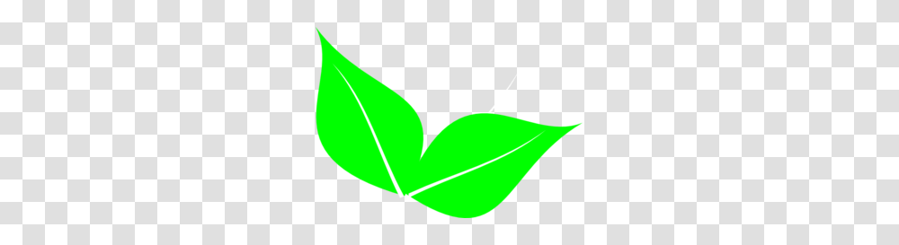 Two Leaves Clip Art, Leaf, Plant, Green Transparent Png